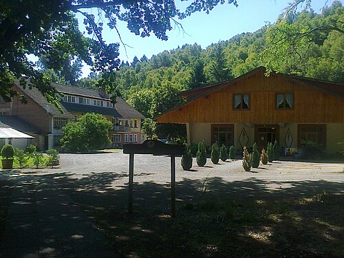 Colonia Dignidad, the film's subject