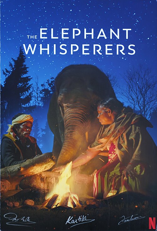 A picture from The Elephant Whisperers's record on Wikimedia Commons