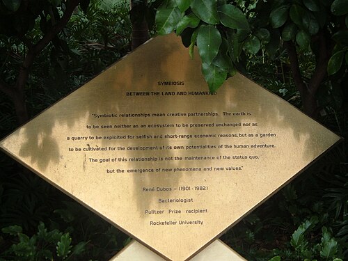 A picture from Symbiosis's record on Wikimedia Commons