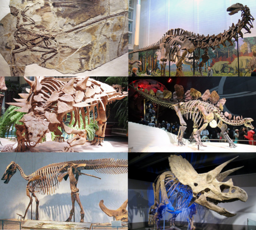 dinosaur, the film's subject