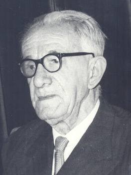 Siniša Stanković, the film's subject