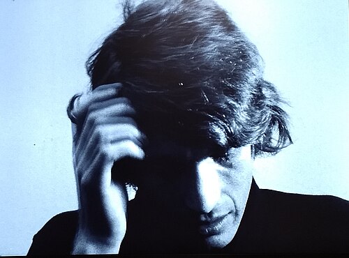Bas Jan Ader, the film's subject