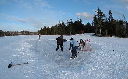 A picture from Pond Hockey's record on Wikimedia Commons