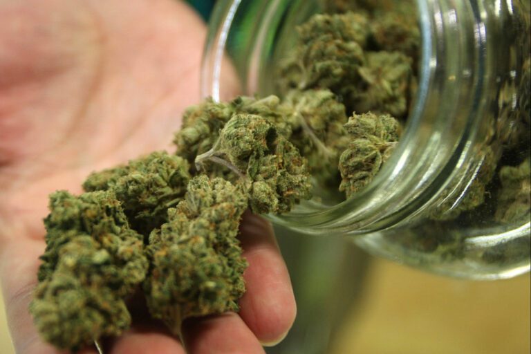 13 Strange Facts about Marijuana