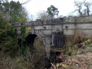 Can Dogs Commit Suicide? What Overtoun Bridge Really Shows