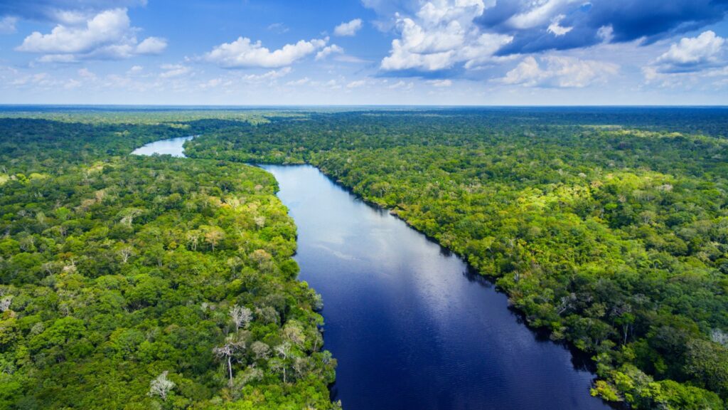 Amazon River Amazing Geography Facts Amazon River Amazing Geography Facts