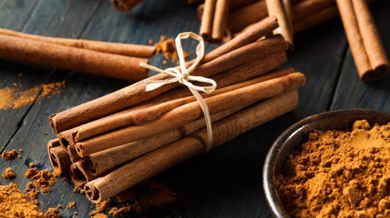 Cinnamon – The Oldest Known Spice