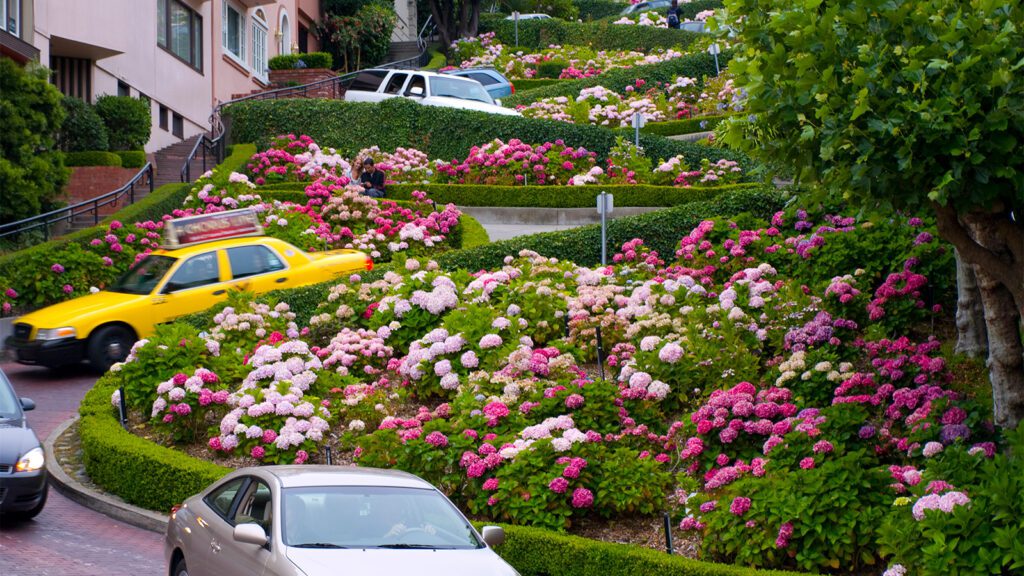 Lombard Street in San Francisco – A Crooked Delight