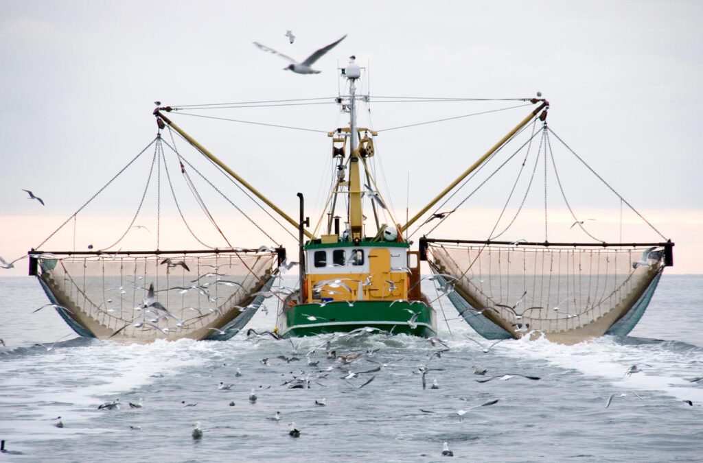 Overfishing – Putting the entire ocean system at risk Overfishing – Putting the entire ocean system at risk