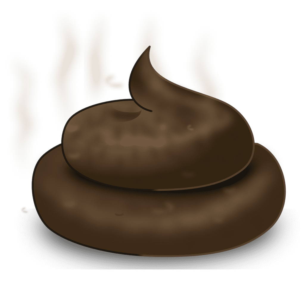 Fecal Transplant Is Real and Five Other Feces Facts That Will Surprise You Fecal Transplant Is Real and Five Other Feces Facts That Will Surprise You