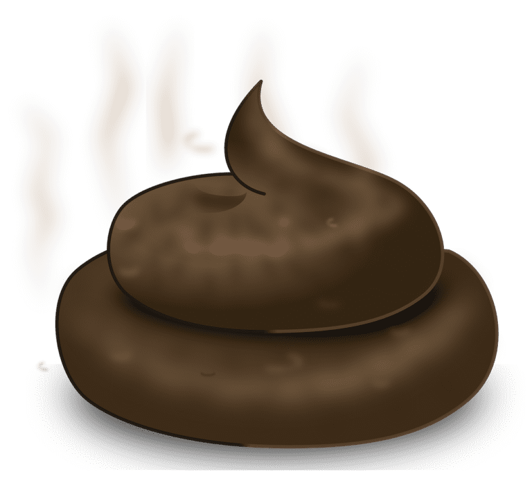 Fecal Transplant Is Real and Five Other Feces Facts That Will Surprise You