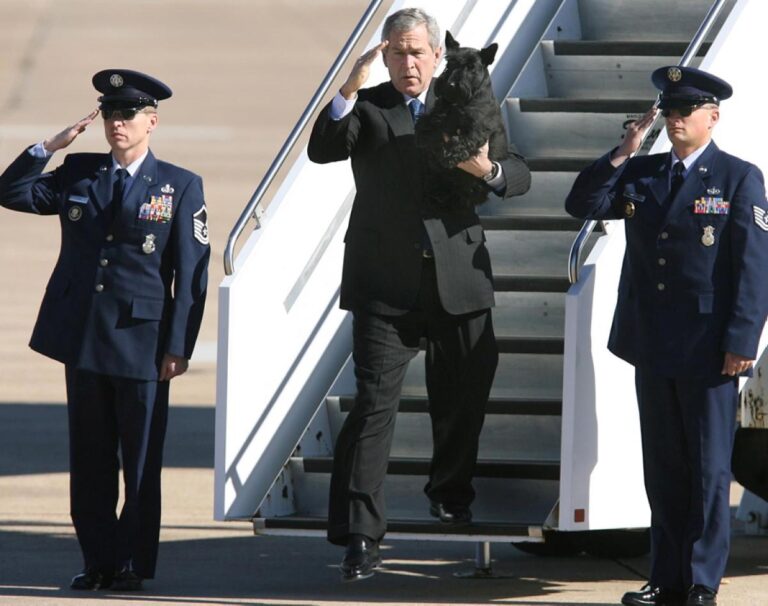 The most popular American Presidential Dogs