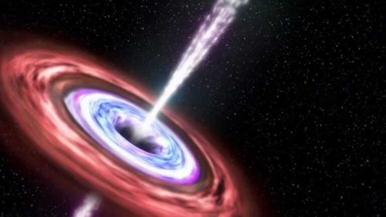 What happens when a black hole eats a star?